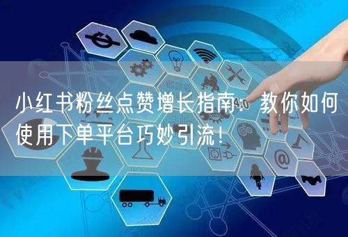 小红书粉丝点赞增长指南：教你如何使用下单平台巧妙引流！