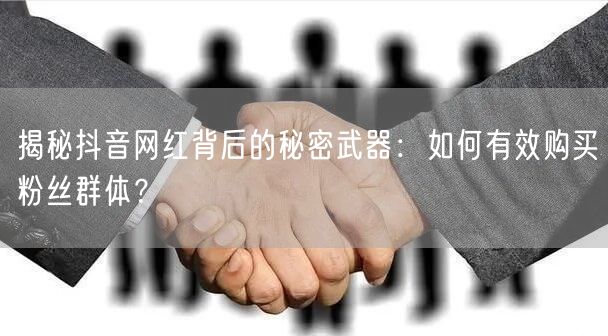 揭秘抖音网红背后的秘密武器:如何有效购买粉丝群体?