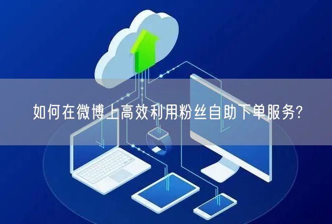 如何在微博上高效利用粉丝自助下单服务?