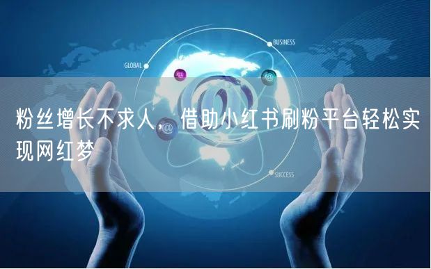 粉丝增长不求人，借助小红书刷粉平台轻松实现网红梦