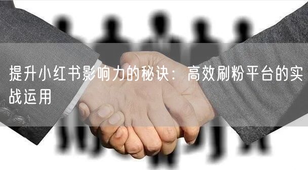 提升小红书影响力的秘诀：高效刷粉平台的实战运用