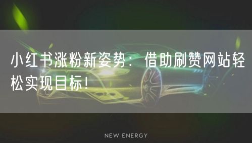 小红书涨粉新姿势：借助刷赞网站轻松实现目标！