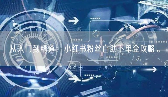 从入门到精通：小红书粉丝自助下单全攻略。