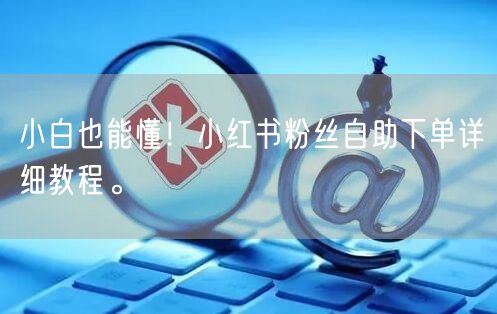 小白也能懂！小红书粉丝自助下单详细教程。