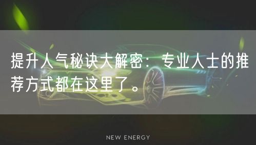 提升人气秘诀大解密：专业人士的推荐方式都在这里了。