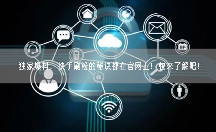 独家爆料：快手刷粉的秘诀都在官网上！快来了解吧！