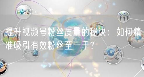 提升视频号粉丝质量的秘诀：如何精准吸引有效粉丝至一千？