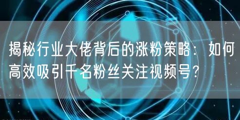 揭秘行业大佬背后的涨粉策略：如何高效吸引千名粉丝关注视频号？