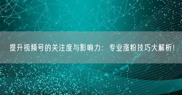 提升视频号的关注度与影响力：专业涨粉技巧大解析！