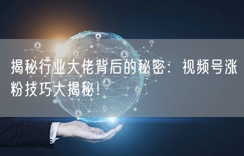 揭秘行业大佬背后的秘密：视频号涨粉技巧大揭秘！