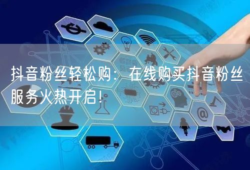 抖音粉丝轻松购：在线购买抖音粉丝服务火热开启！