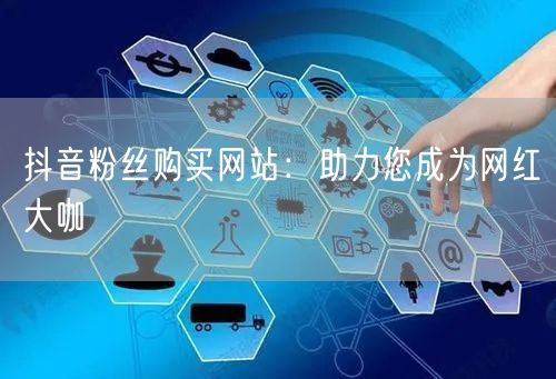 抖音粉丝购买网站：助力您成为网红大咖