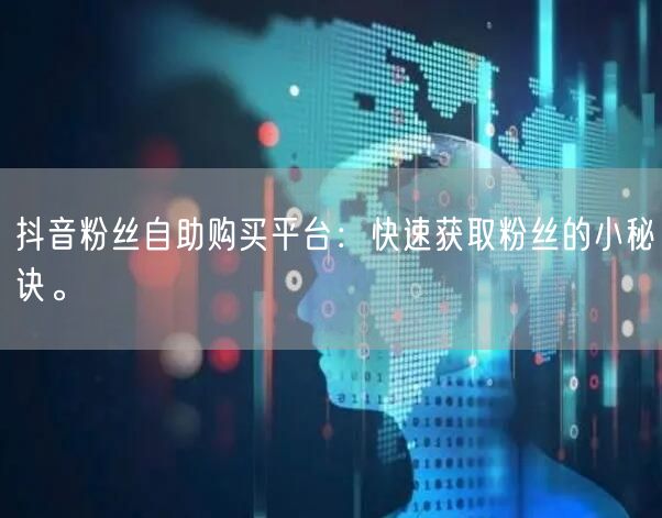 抖音粉丝自助购买平台：快速获取粉丝的小秘诀。