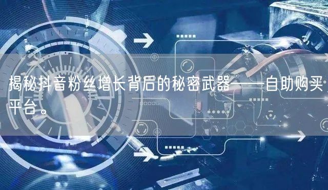 揭秘抖音粉丝增长背后的秘密武器——自助购买平台。