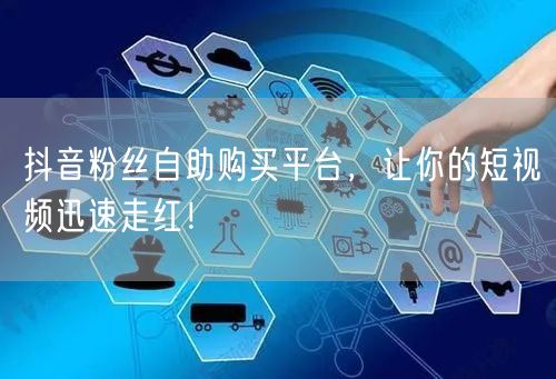 抖音粉丝自助购买平台，让你的短视频迅速走红！