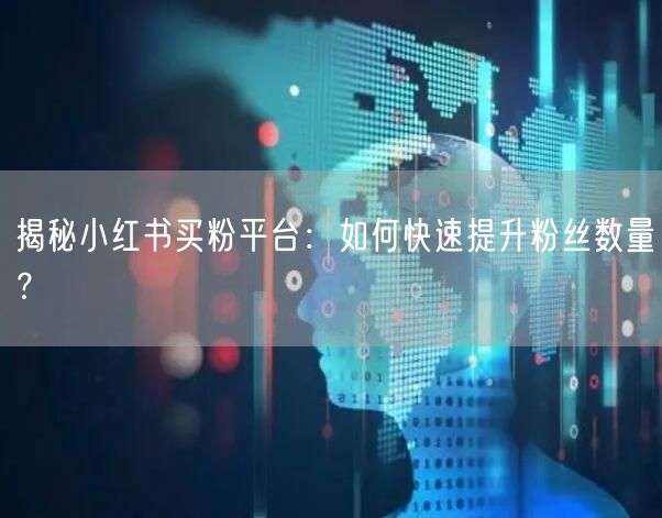 揭秘小红书买粉平台：如何快速提升粉丝数量？
