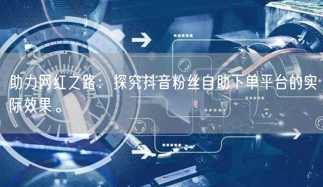 助力网红之路：探究抖音粉丝自助下单平台的实际效果。