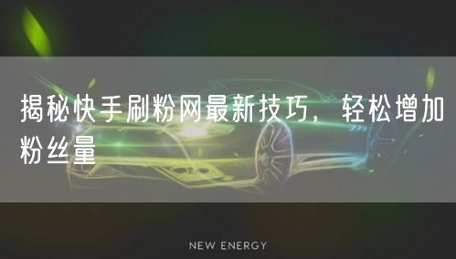 揭秘快手刷粉网最新技巧，轻松增加粉丝量