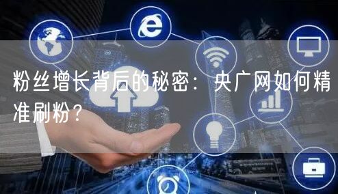 粉丝增长背后的秘密：央广网如何精准刷粉？