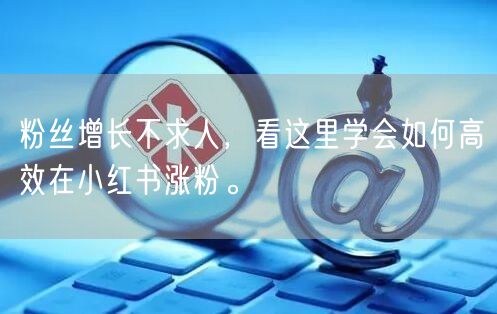 粉丝增长不求人，看这里学会如何高效在小红书涨粉。