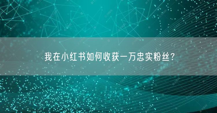我在小红书如何收获一万忠实粉丝？