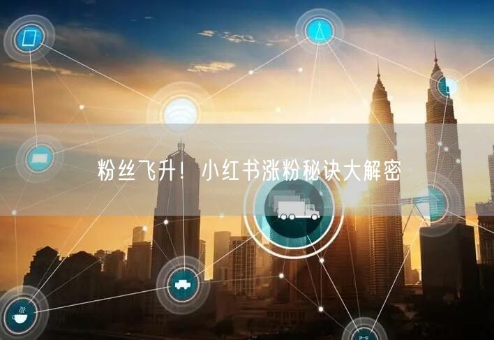 粉丝飞升！小红书涨粉秘诀大解密