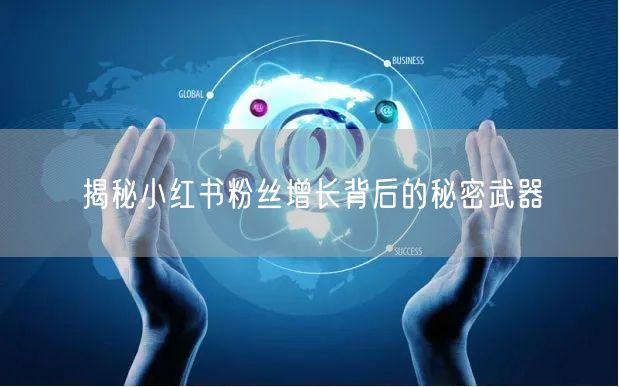 揭秘小红书粉丝增长背后的秘密武器