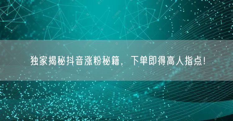 独家揭秘抖音涨粉秘籍，下单即得高人指点！