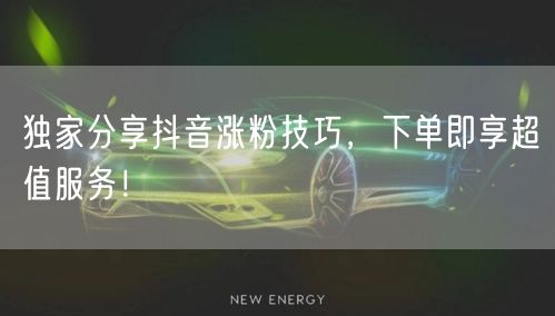 独家分享抖音涨粉技巧，下单即享超值服务！