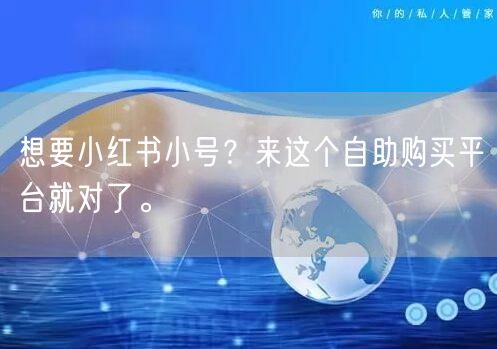 想要小红书小号？来这个自助购买平台就对了。