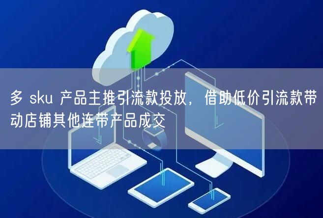 多 sku 产品主推引流款投放,借助低价引流款带动店铺其他连带产品成交