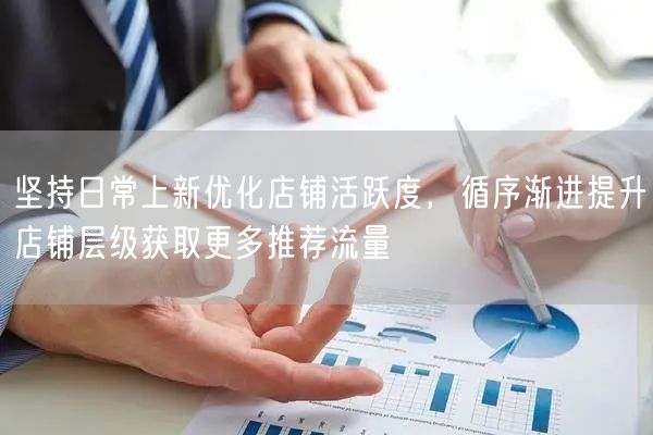 坚持日常上新优化店铺活跃度，循序渐进提升店铺层级获取更多推荐流量