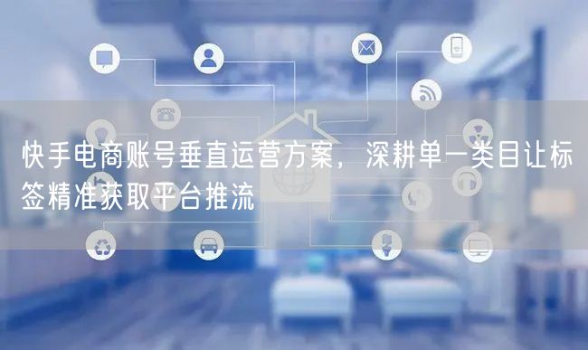 快手电商账号垂直运营方案，深耕单一类目让标签精准获取平台推流