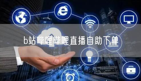 b站哔哩哔哩直播自助下单