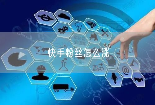 快手粉丝怎么涨