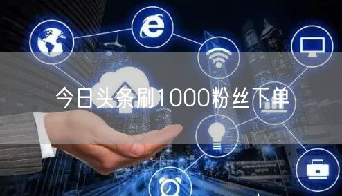 今日头条刷1000粉丝下单