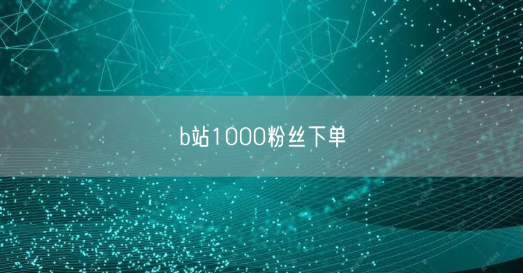 b站1000粉丝下单