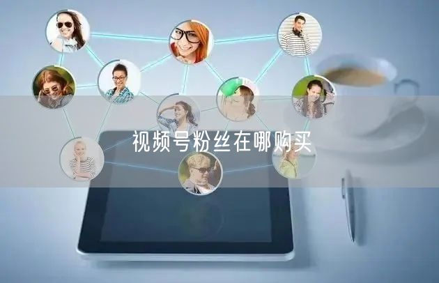 视频号粉丝在哪购买