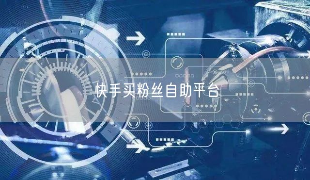 快手买粉丝自助平台