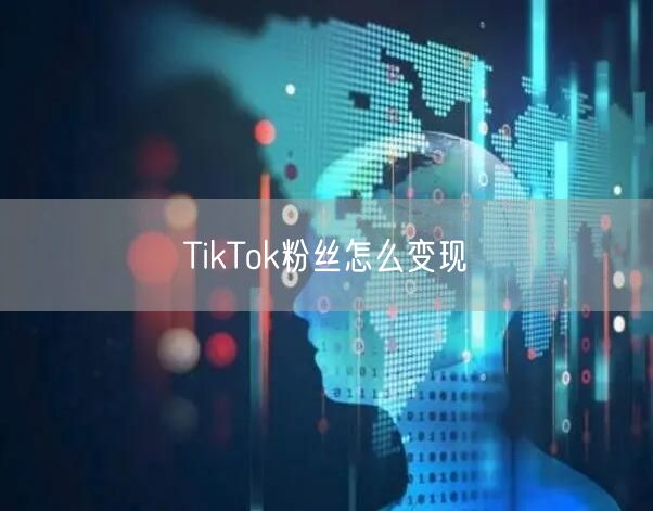 TikTok粉丝怎么变现
