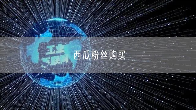 西瓜粉丝购买